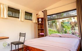 Manuel Antonio Hostel
